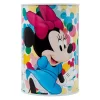 Disney Minnie Hucha Metal
